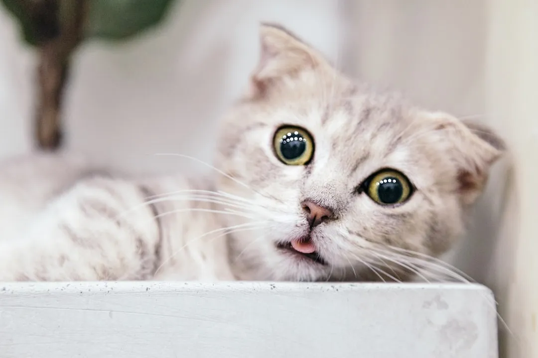 #3 - Stronger or "Different" Urine Smell (Image Credits: Unsplash)