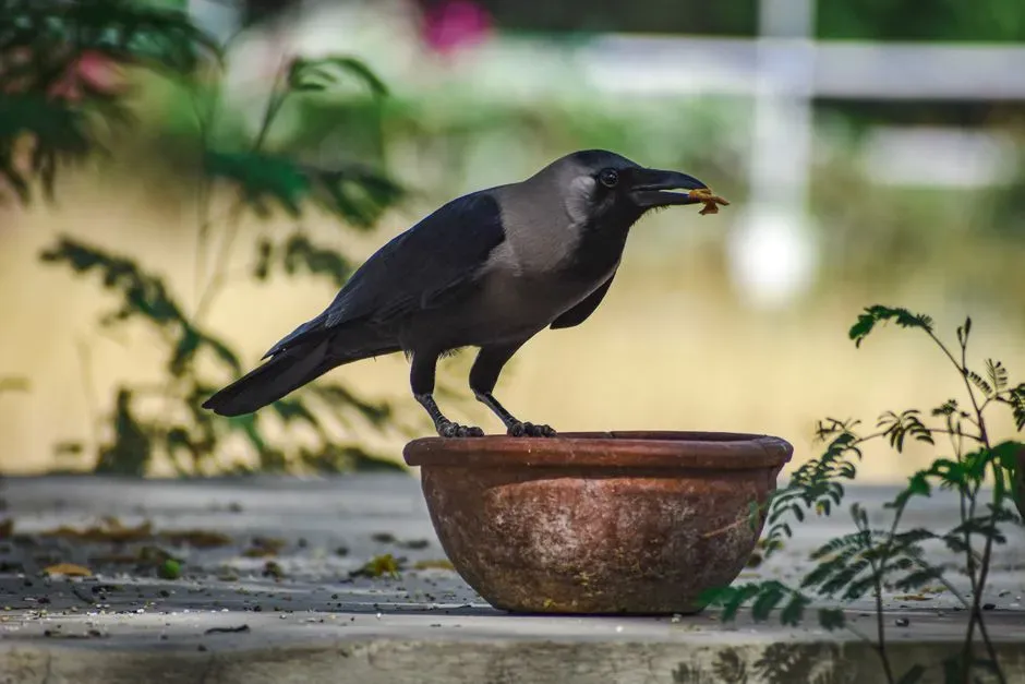 How Feeding Builds Familiarity (Image Credits: Pexels)