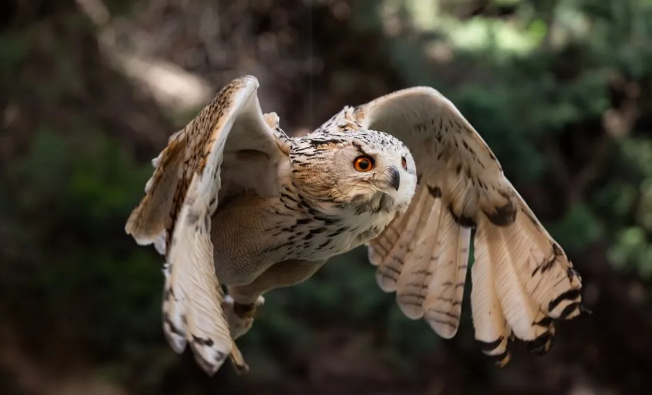 #2 - Messengers Between the Living World and the Spirit World (Image Credits: Pexels)