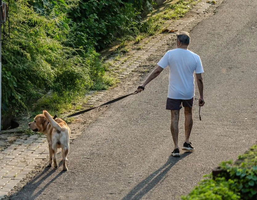 #8 - Your Own Health Might Quietly Improve (Image Credits: Pexels)