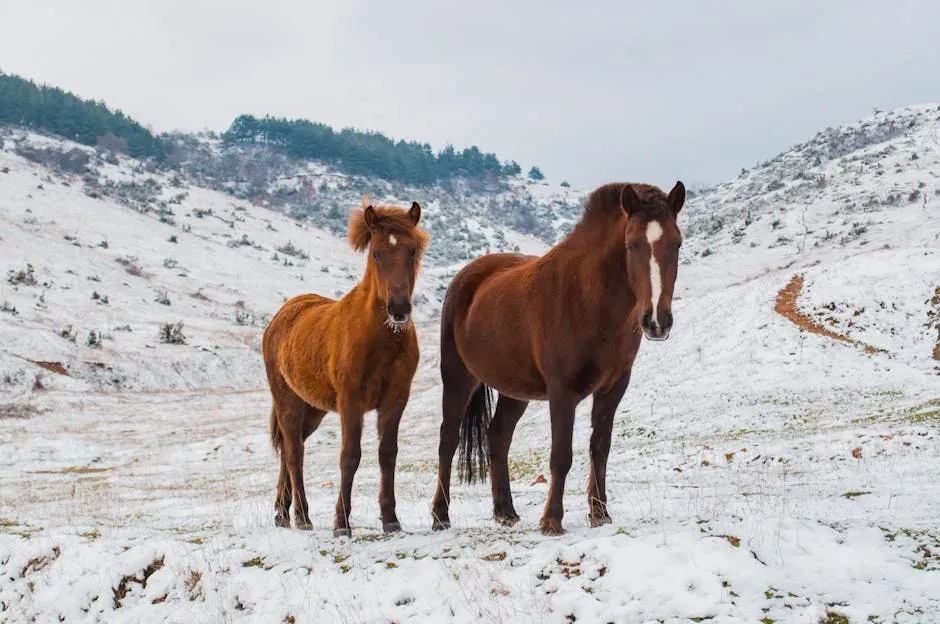 5. The Pregnant Mare Pulled from Icy Waters (Image Credits: Pexels)