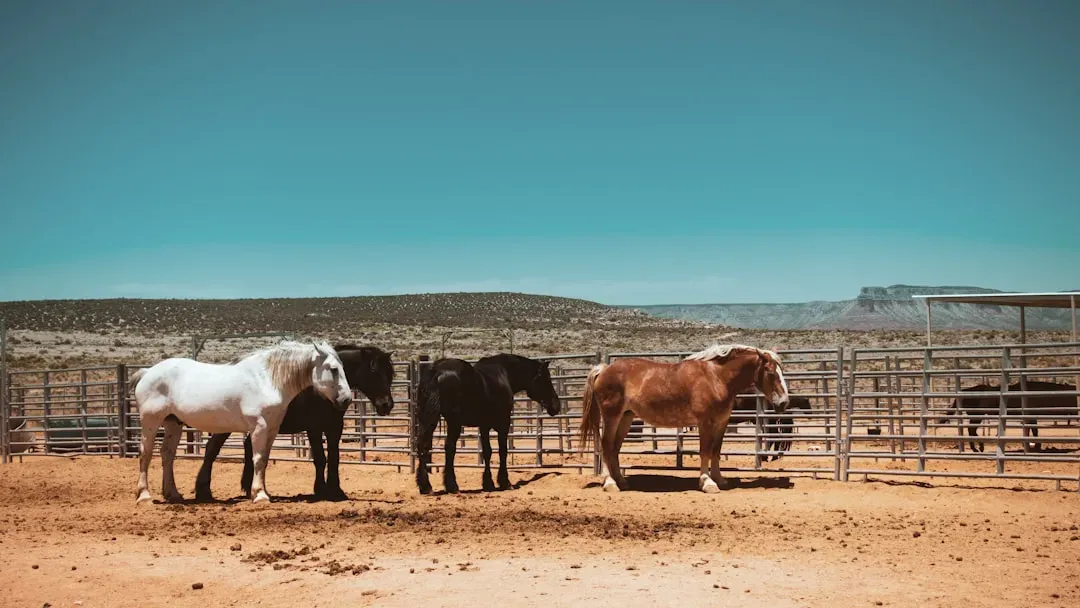 Arizona: Desert Mustangs Against a Dramatic Backdrop (Image Credits: Unsplash)