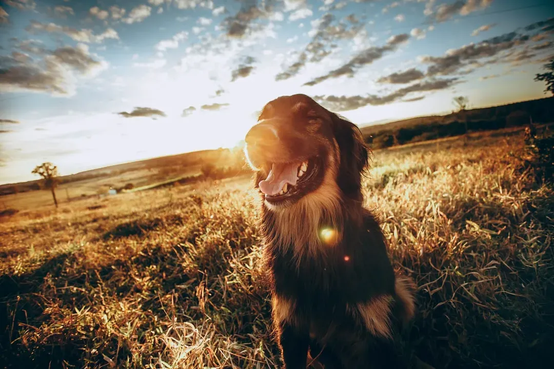 7. Sensing Your Energy Levels (Image Credits: Unsplash)