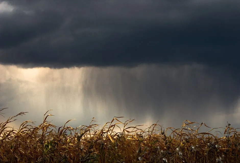 13. Autumn Thunderstorms and Wind Can Trigger Noise Sensitivities (Image Credits: Pexels)
