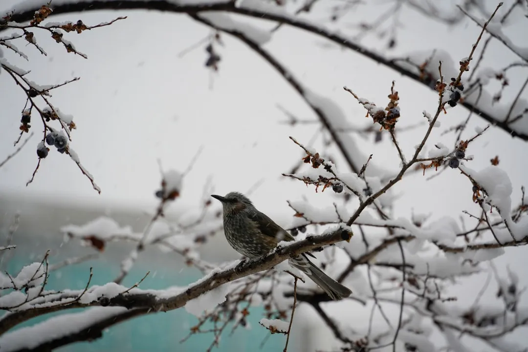 #13: Delay the Pruning of Berry and Shelter Plants (Image Credits: Unsplash)