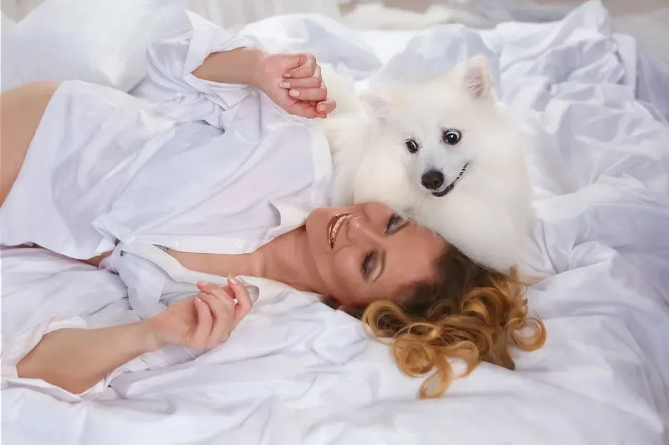 Static Electricity and the Dog That Hides Under the Bed (Image Credits: Pexels)