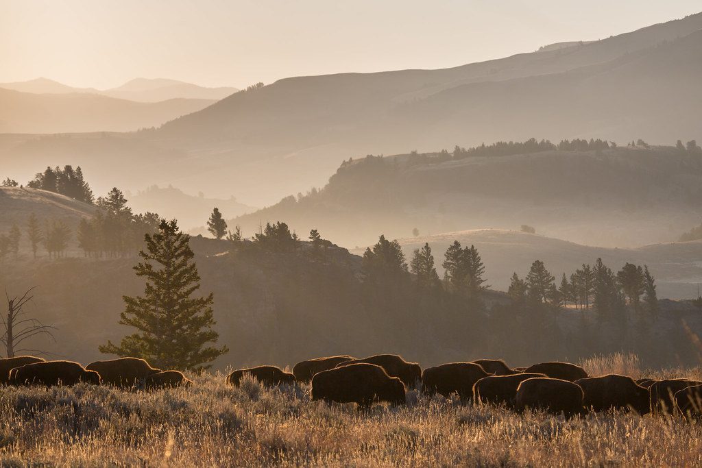 Montana's Wild Frontier (Image Credits: Flickr)