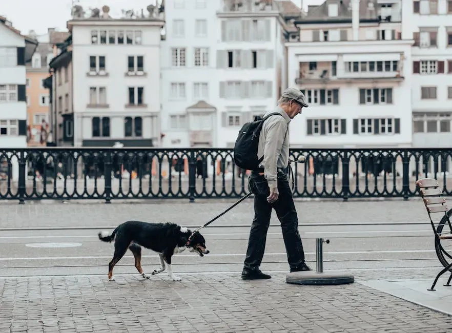 Getting Moving: Pets as Unexpected Exercise Partners (Image Credits: Pexels)