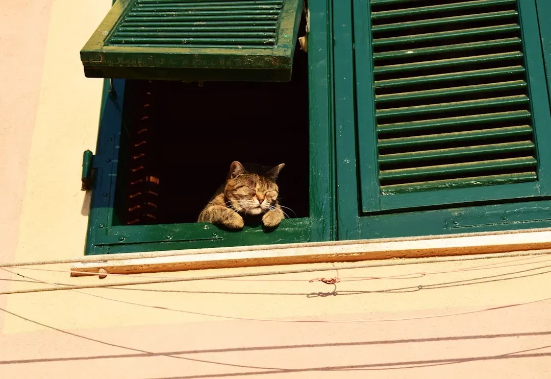 Staring Out the Window for Long Periods (Image Credits: Unsplash)