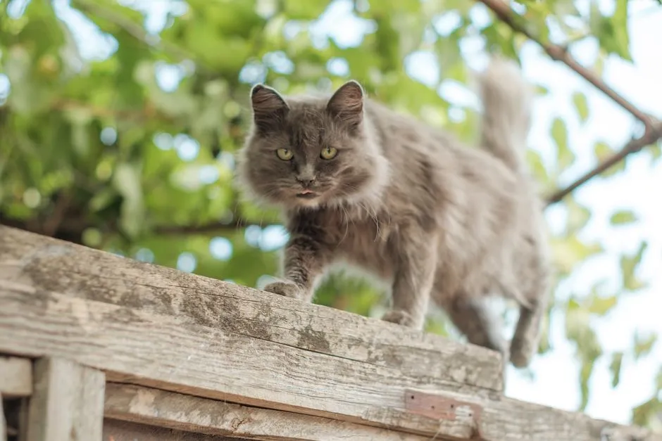 #10 - She's Comfortable With a Few Environmental Tweaks (Image Credits: Pexels)