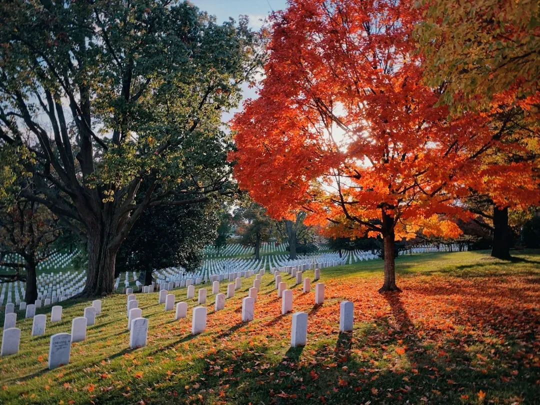 Arlington National Cemetery, Virginia (Image Credits: Unsplash)