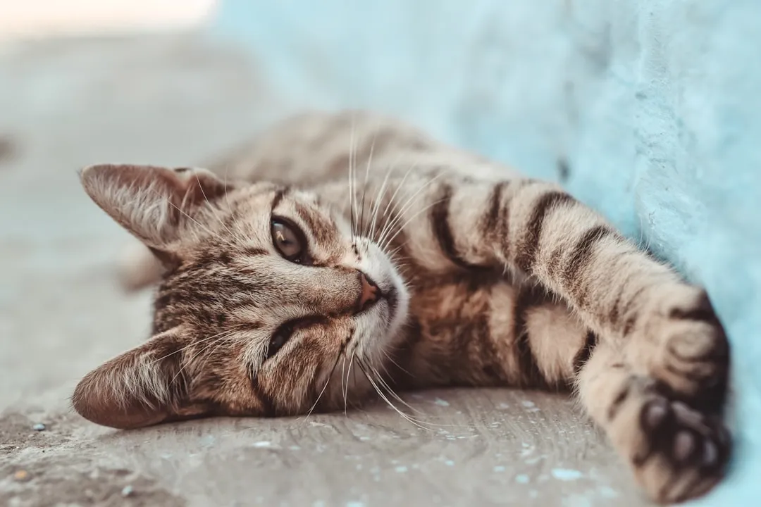 #17 - The &ldquo;Good Days/Bad Days&rdquo; Roller Coaster You Write Off (Image Credits: Unsplash)