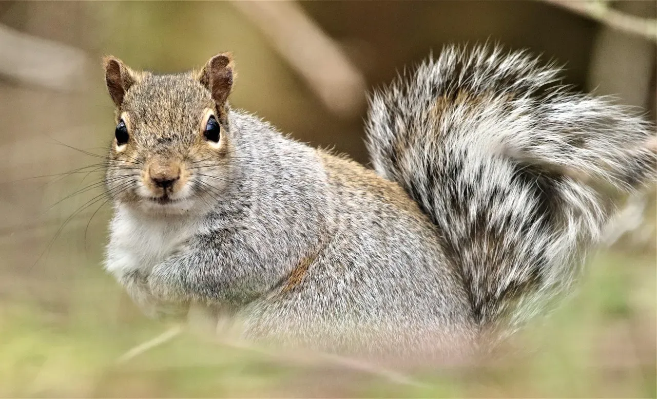 A Creature Worth a Second Look (Image Credits: Pixabay)