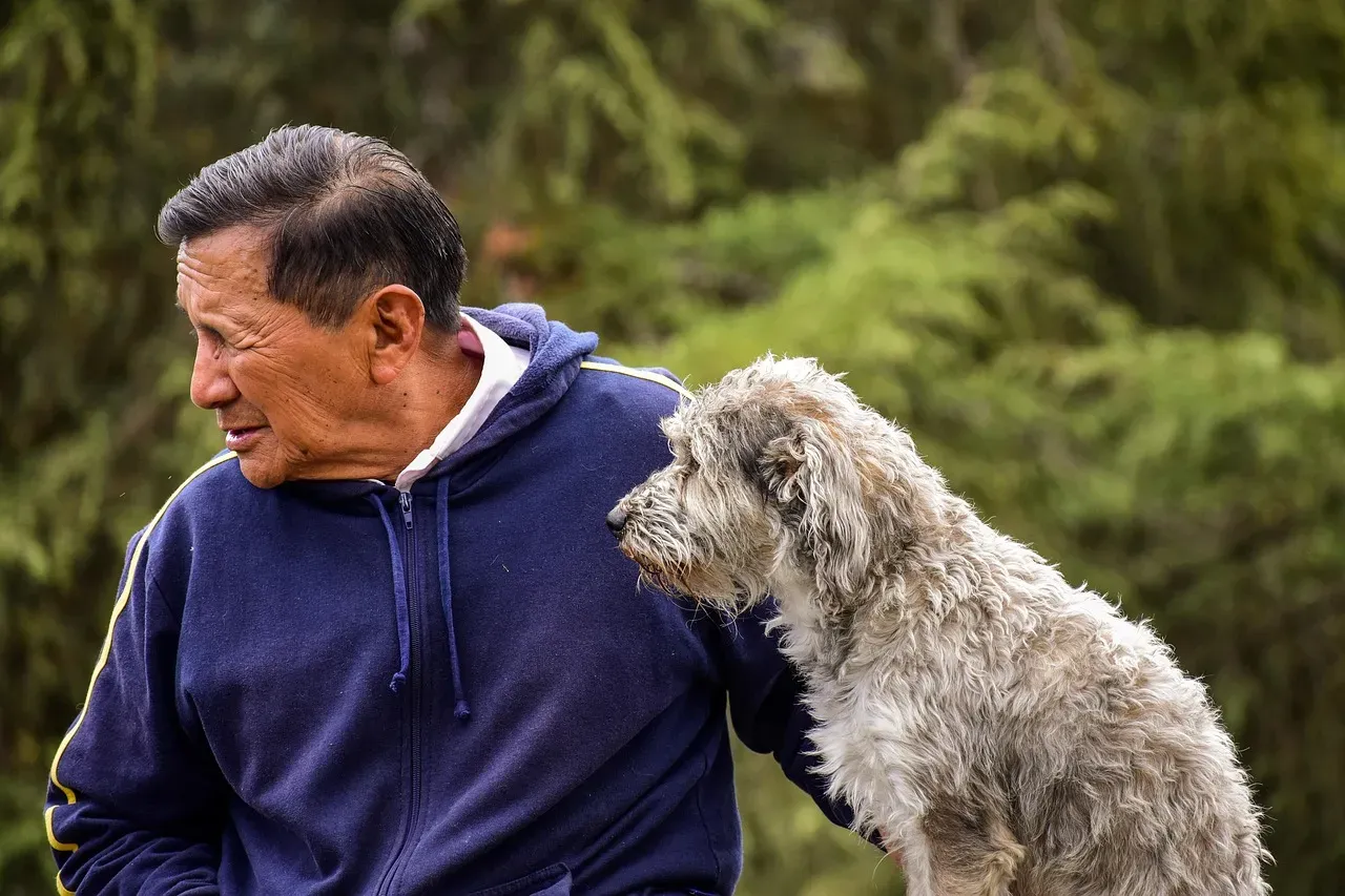 What the Science Actually Shows About Older Dogs and Learning (Image Credits: Pixabay)