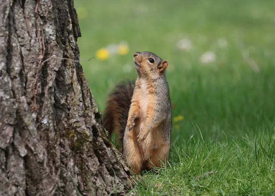 Simple Curiosity in Action (Image Credits: Pexels)