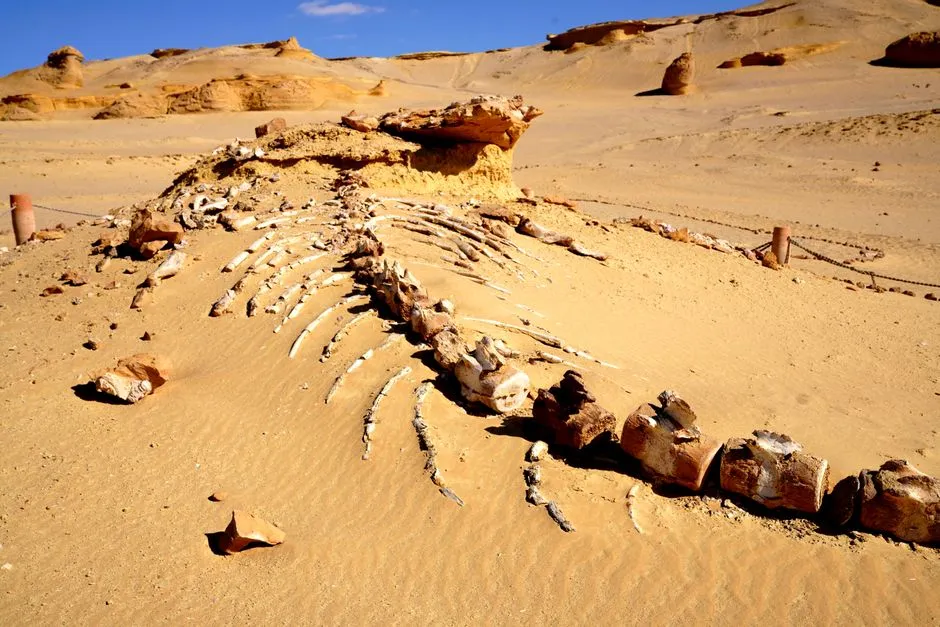 Preserving Geological Heritage (Image Credits: Pexels)