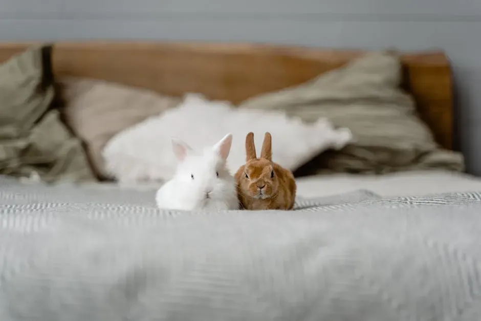 They Produce a Soft Sound Similar to Purring (Image Credits: Pexels)