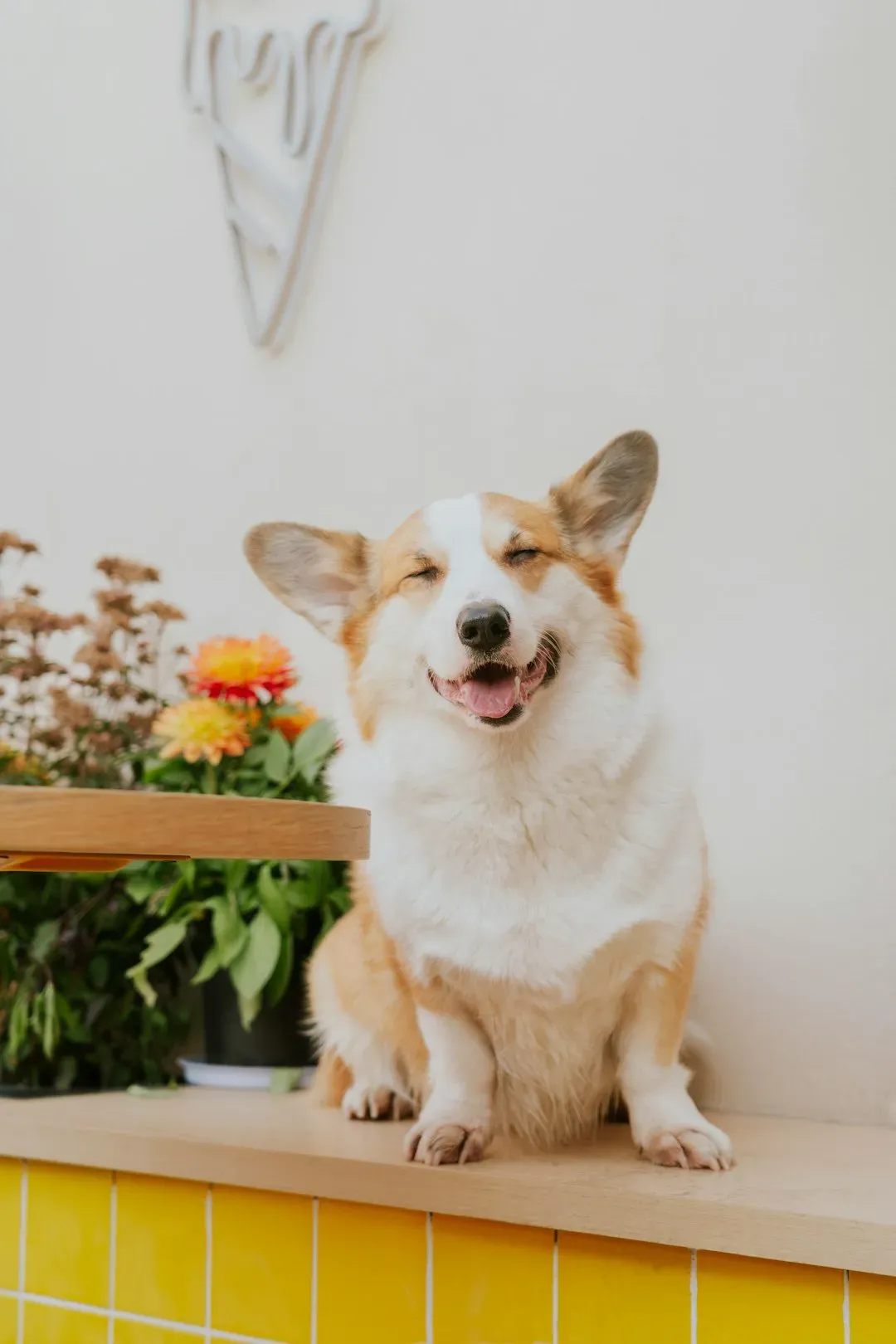 Conclusion: Celebrating Love Safely (Image Credits: Unsplash)