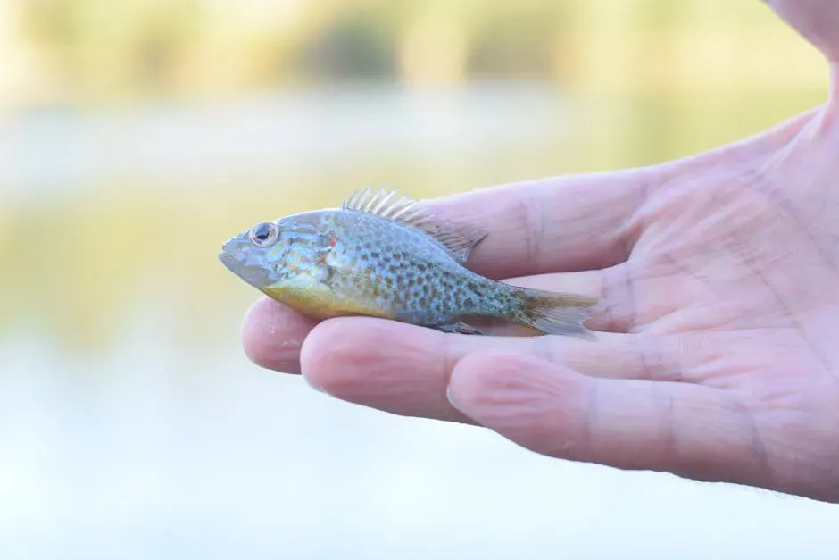 California's Desert Neighbor: The Mojave's Pupfish Legacy (Image Credits: Pexels)