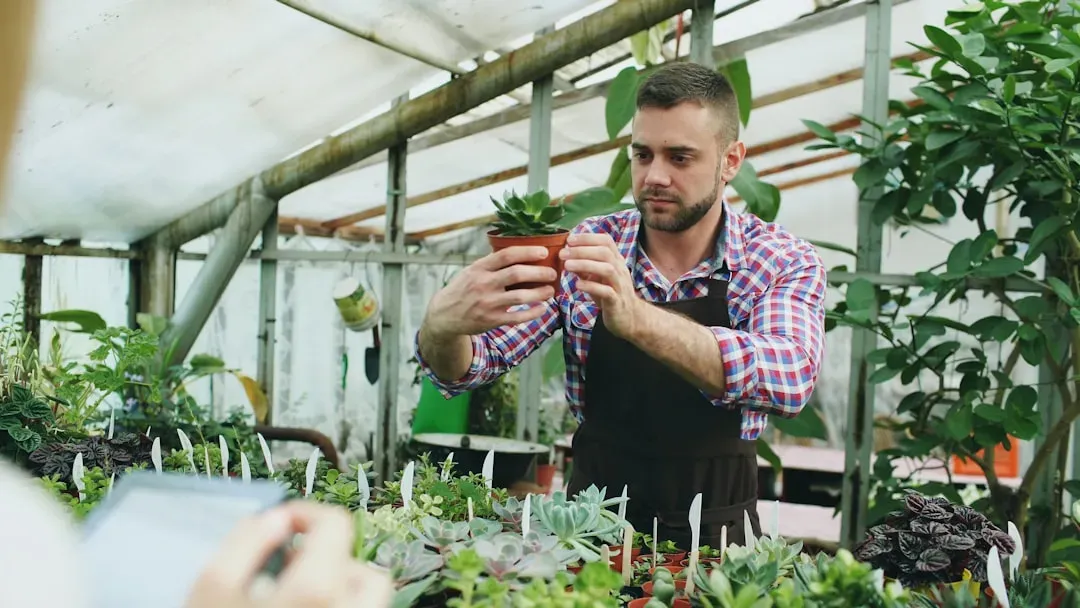 Bringing Home Uninspected New Plants (Image Credits: Unsplash)