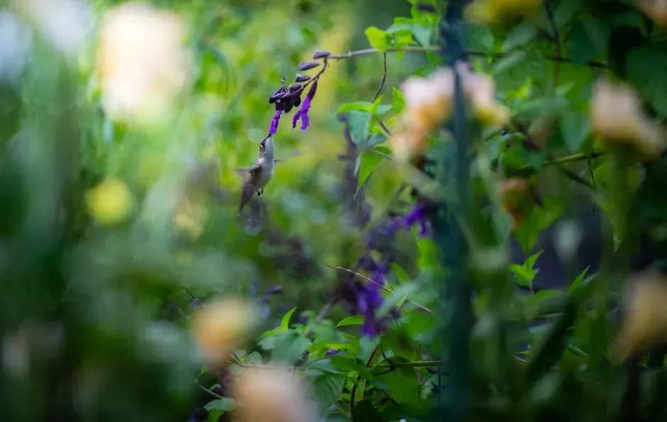 Territorial Instincts at Play (Image Credits: Pexels)