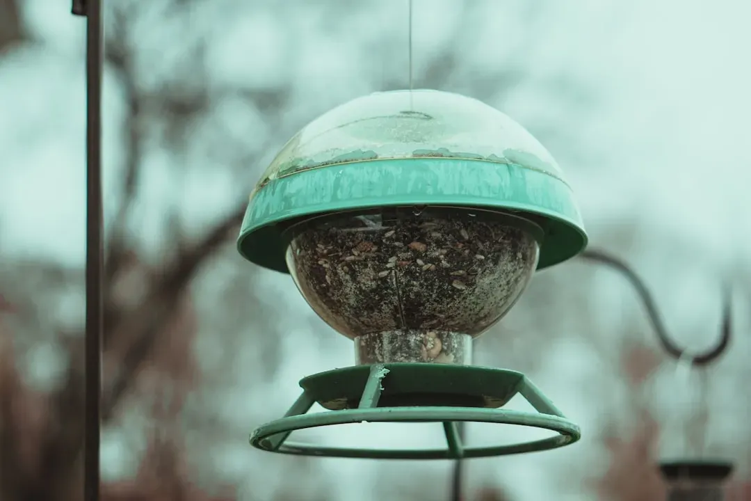 #11 - Dirty Feeders Drive Picky Birds Straight to the Neighbor's Yard (Image Credits: Unsplash)