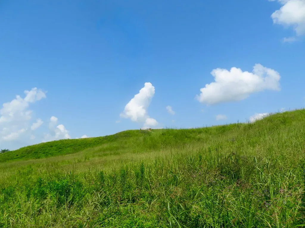Advanced Engineering at Poverty Point (Image Credits: Flickr)