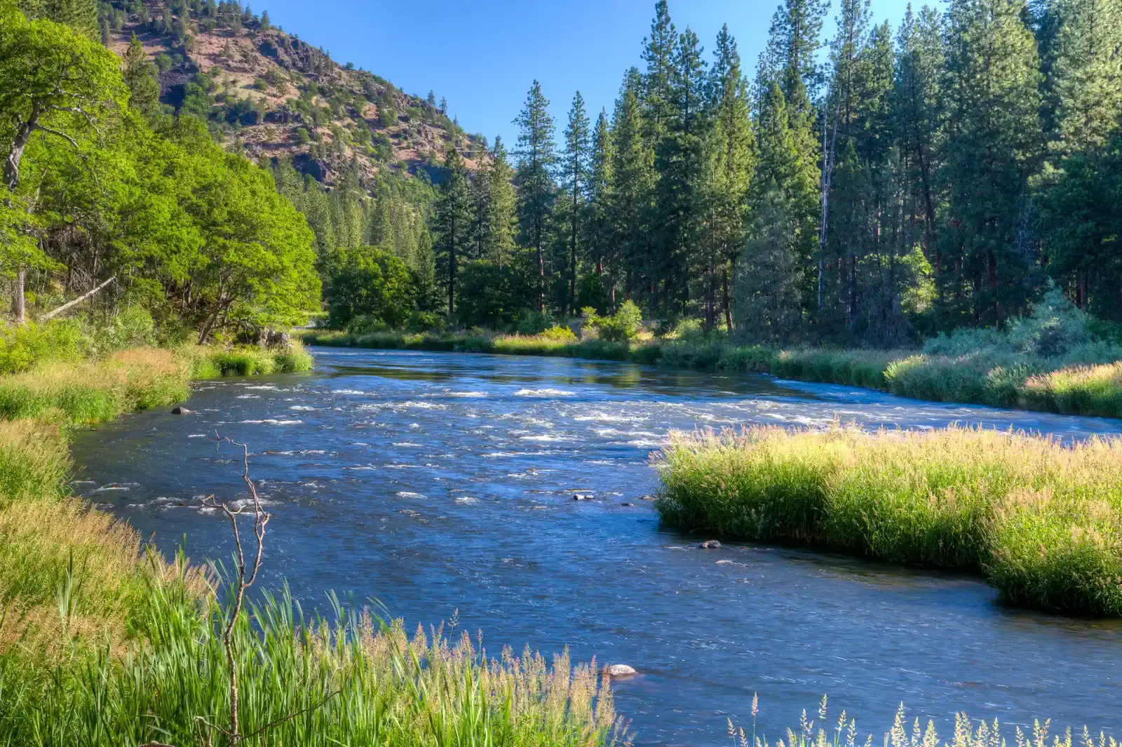 The Klamath River, California and Oregon: Cold, Fast, Remote (Klamath River, Public domain)