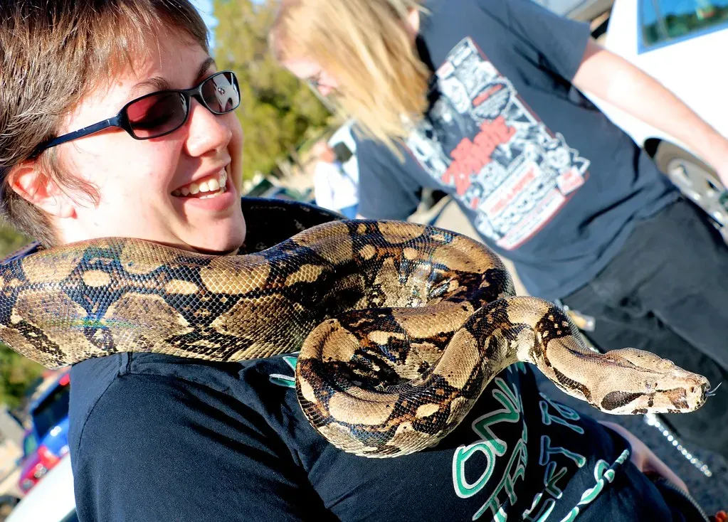 Scorpio: The Snake Sheds What No Longer Serves (Image Credits: Flickr)