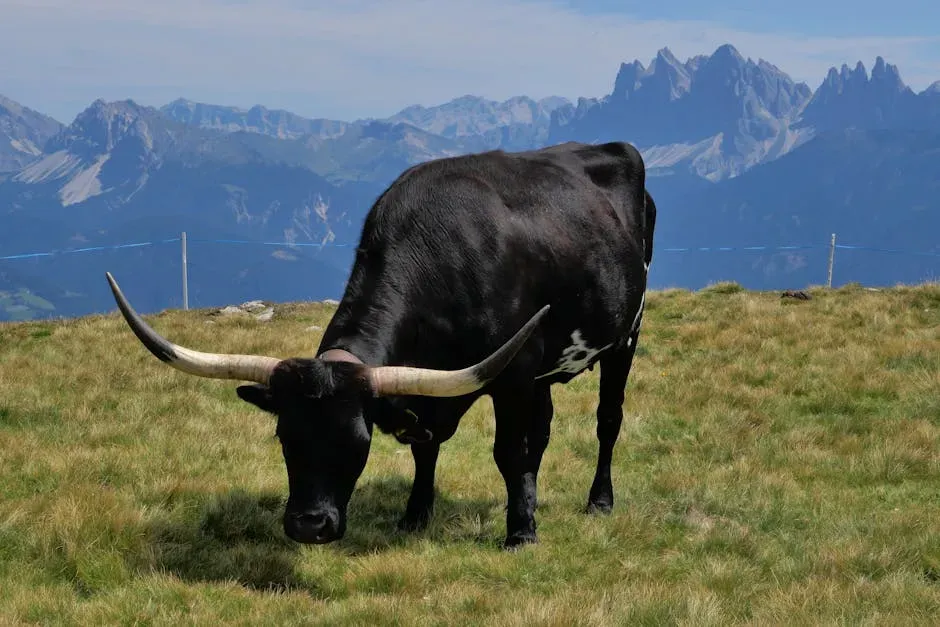 1. The Bull: The Original Symbol of Raw Power and Patience (Image Credits: Pexels)