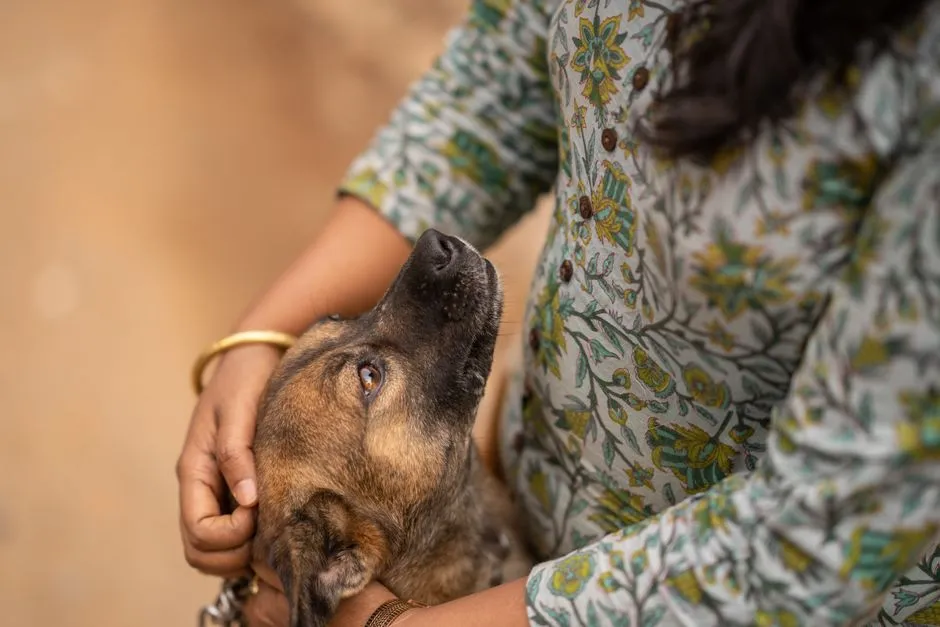 #1 - They Choose You Over Freedom (Image Credits: Pexels)