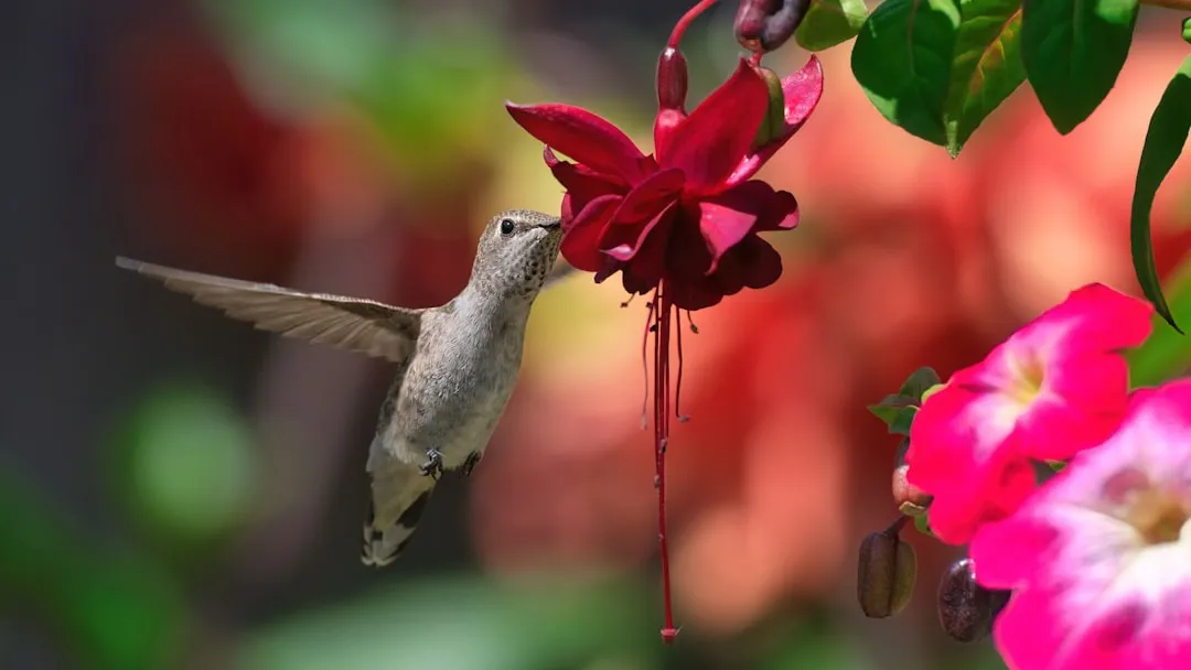 #14 - They Keep Returning Even When Flowers Start to Fade (Image Credits: Unsplash)