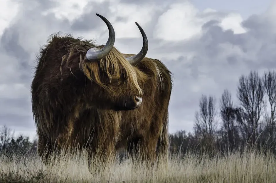 Taurus: Earth Through the Senses (Image Credits: Pexels)