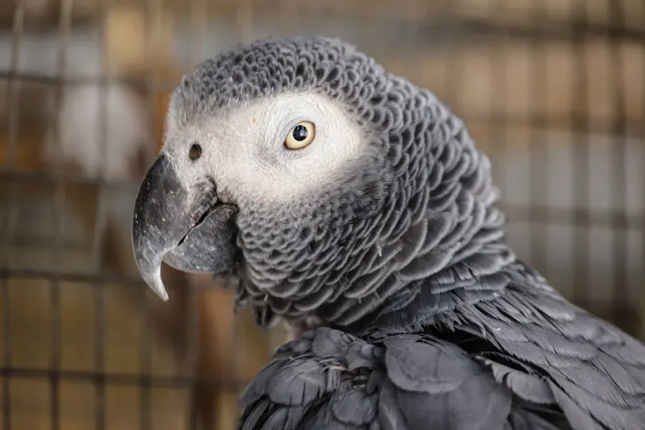 #1 - The African Grey Parrot's Lifelong Bond (Image Credits: Pexels)