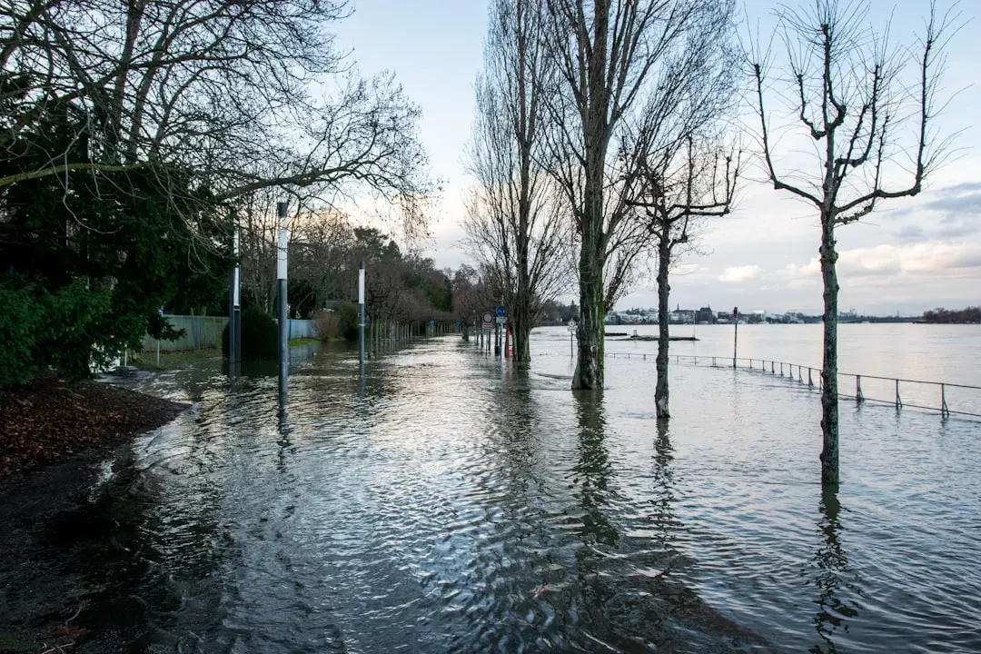 The Compounding Threat of Sea Level Rise (Image Credits: Unsplash)