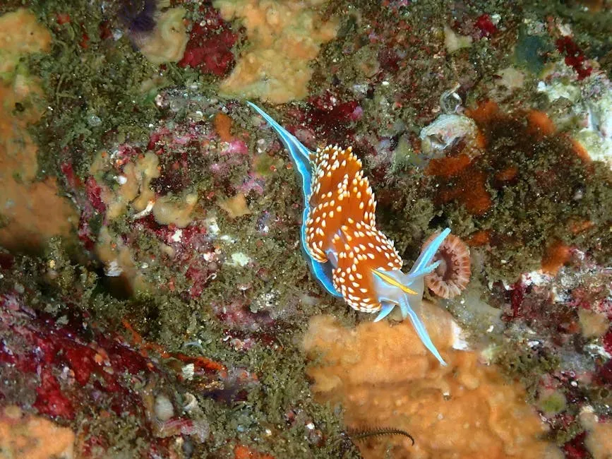 Strange New Bodies: Creatures That Challenge Basic Biology (Image Credits: Pexels)