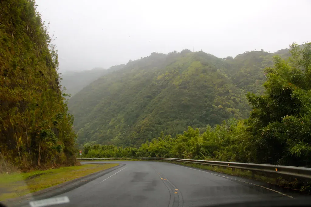 The Road To Hana (daveynin, Flickr, CC BY 2.0)
