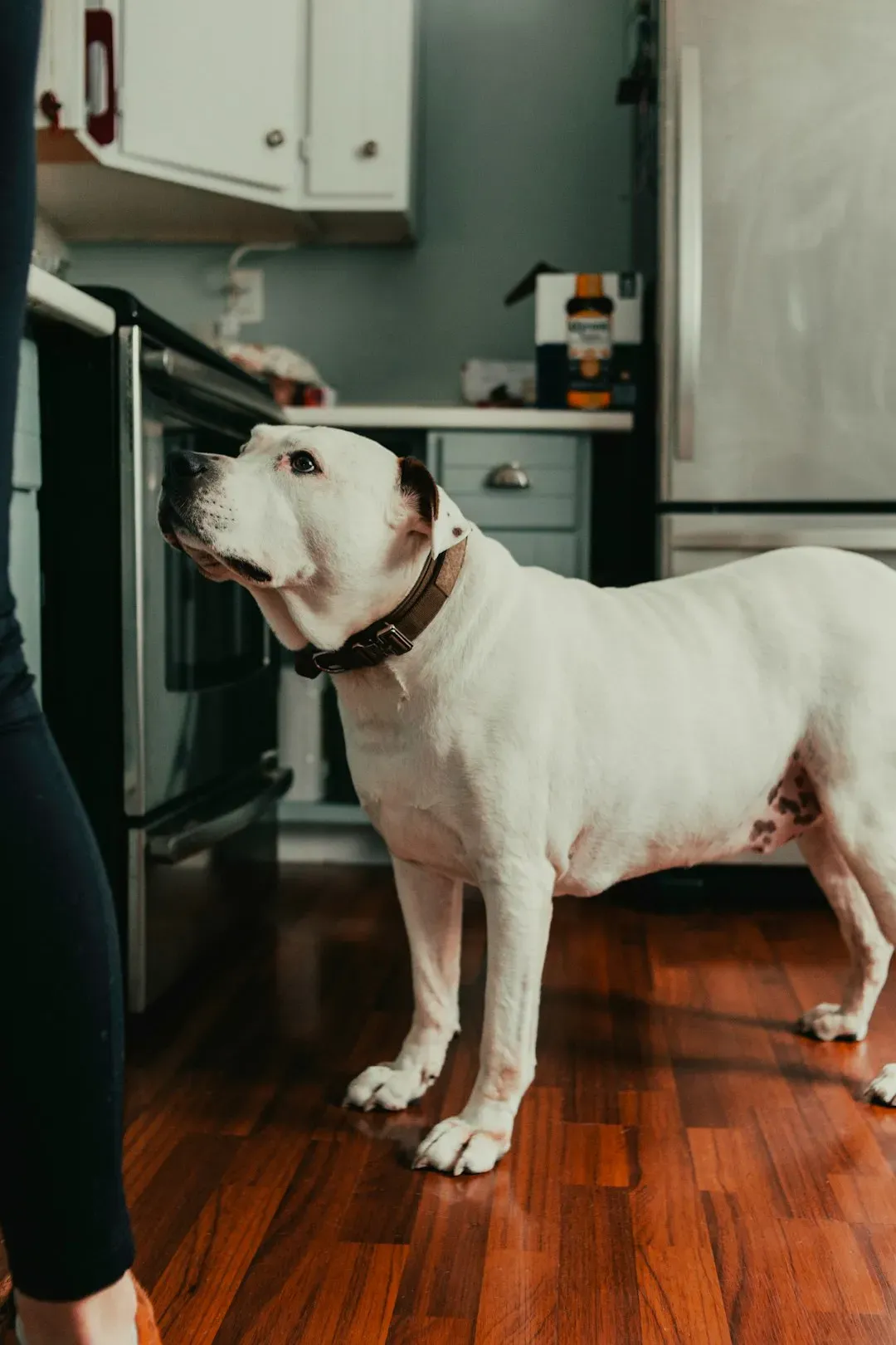 #6: Counter Surfing (Image Credits: Unsplash)