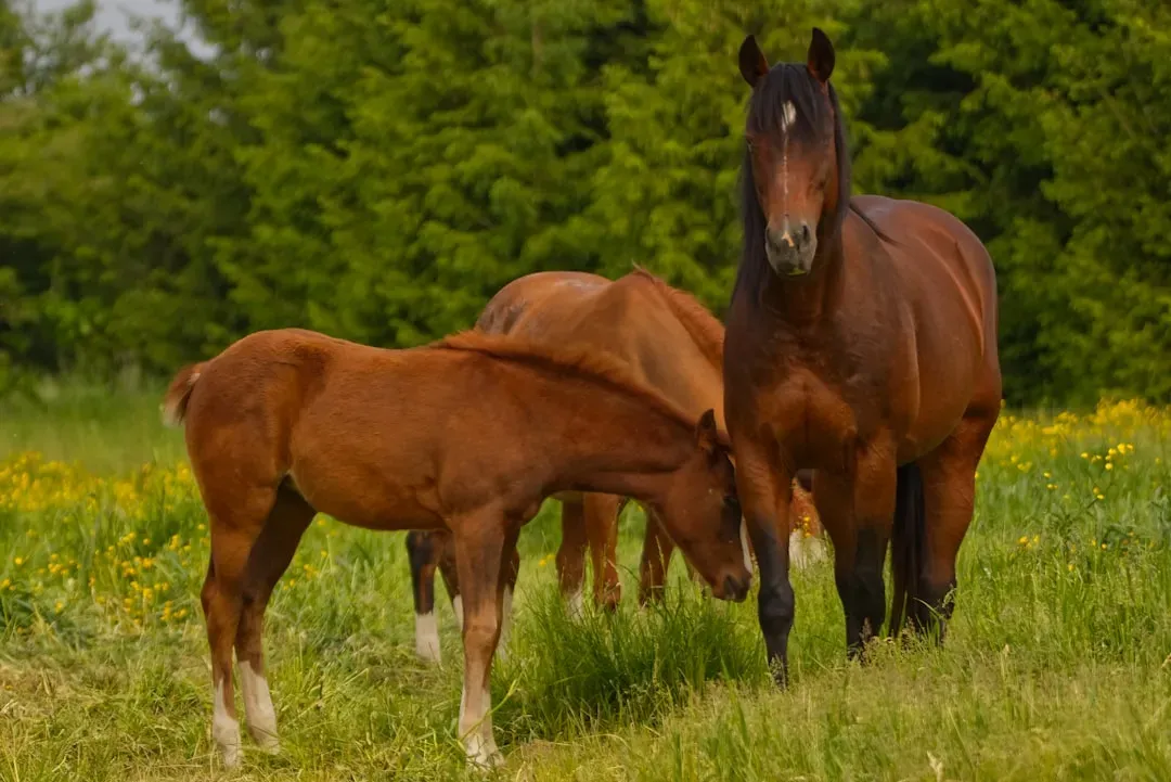 They Have a Surprisingly Small Stomach (Image Credits: Unsplash)
