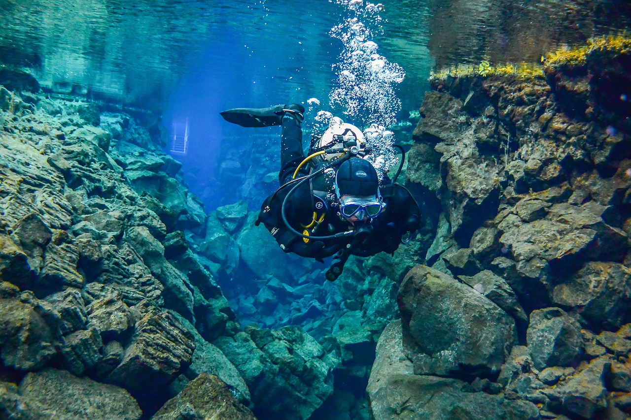 Extreme Conditions That Should Be Deadly (Image Credits: Pixabay)