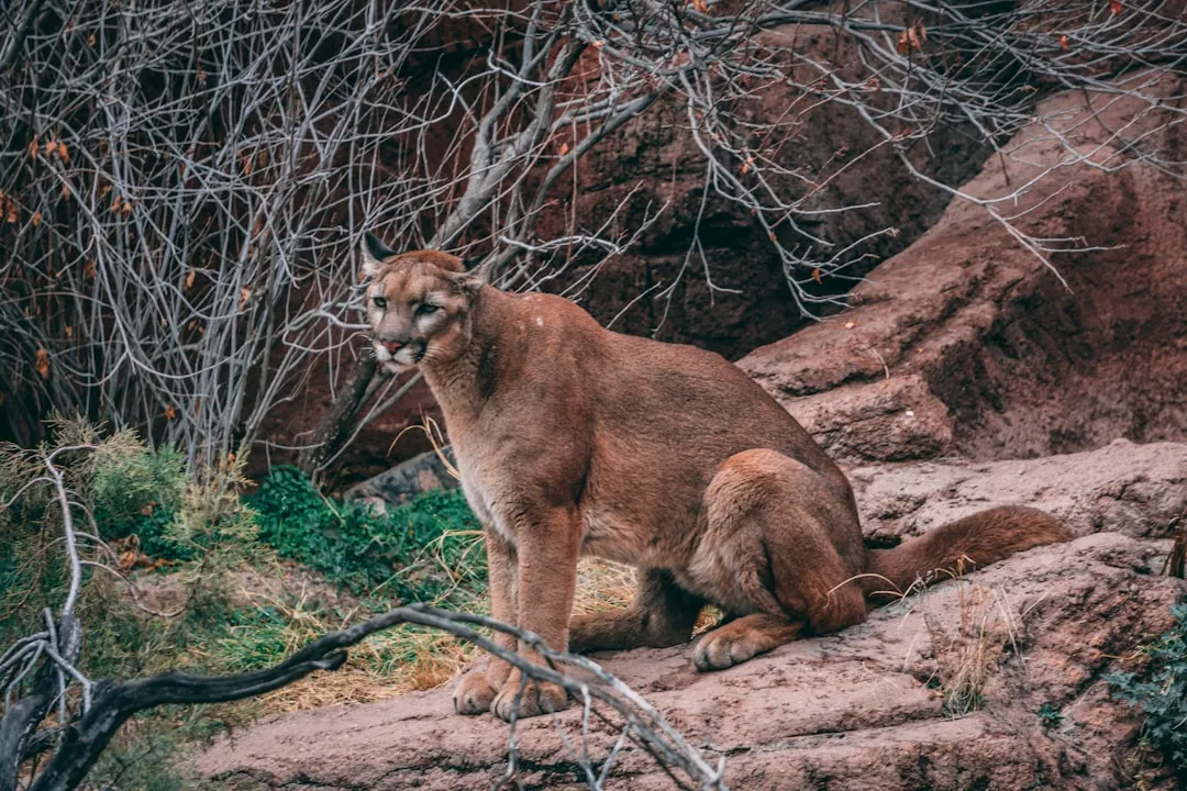 #3 Oregon (Image Credits: Unsplash)