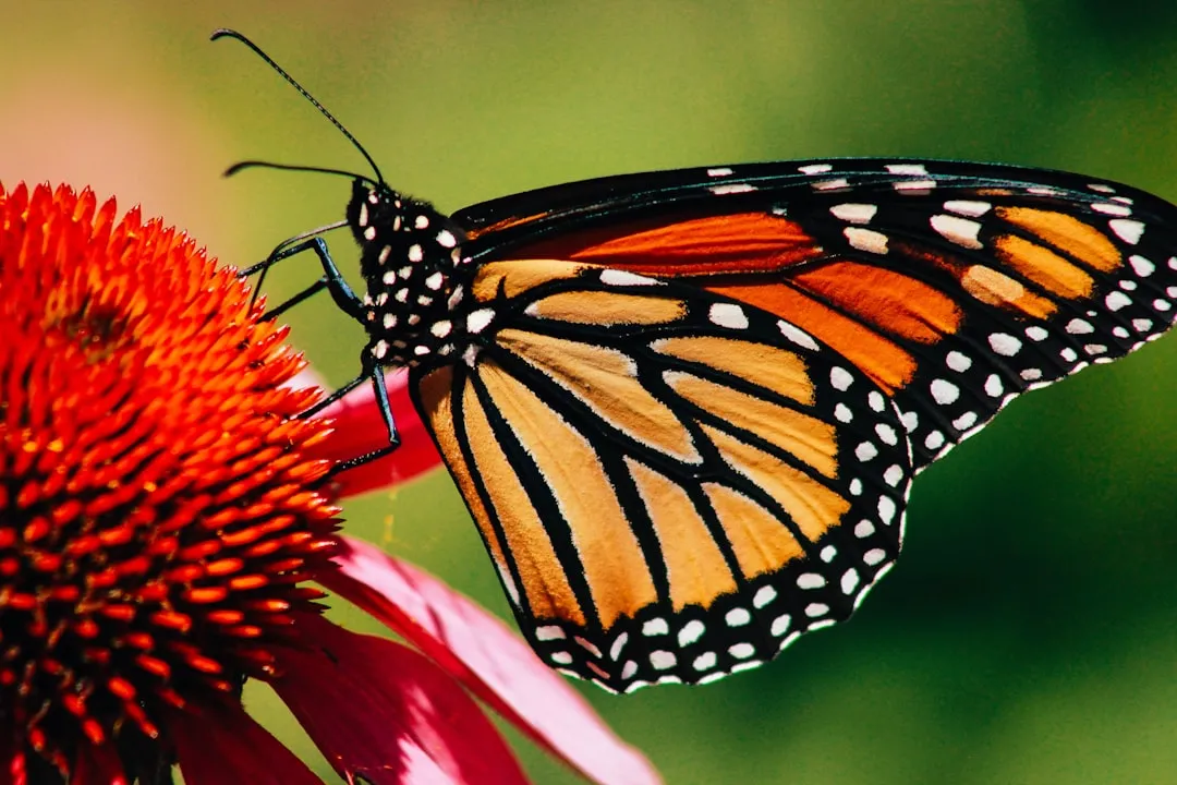 5. Ditch Pesticides and Herbicides: Let Nature Do the Balancing (Image Credits: Unsplash)