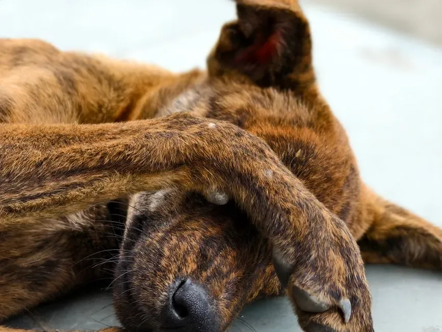 Environmental Factors and Physical Discomfort (Image Credits: Pexels)