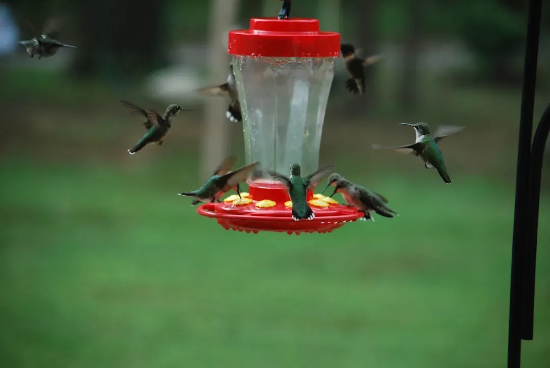 #13 – One Feeder Is a Recipe for Bullying (Image Credits: Unsplash)