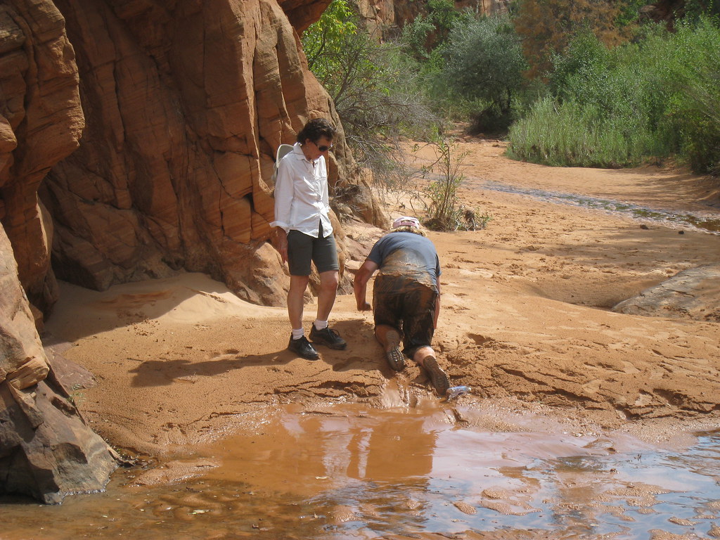 Your Best Strategy for Survival (Image Credits: Flickr)