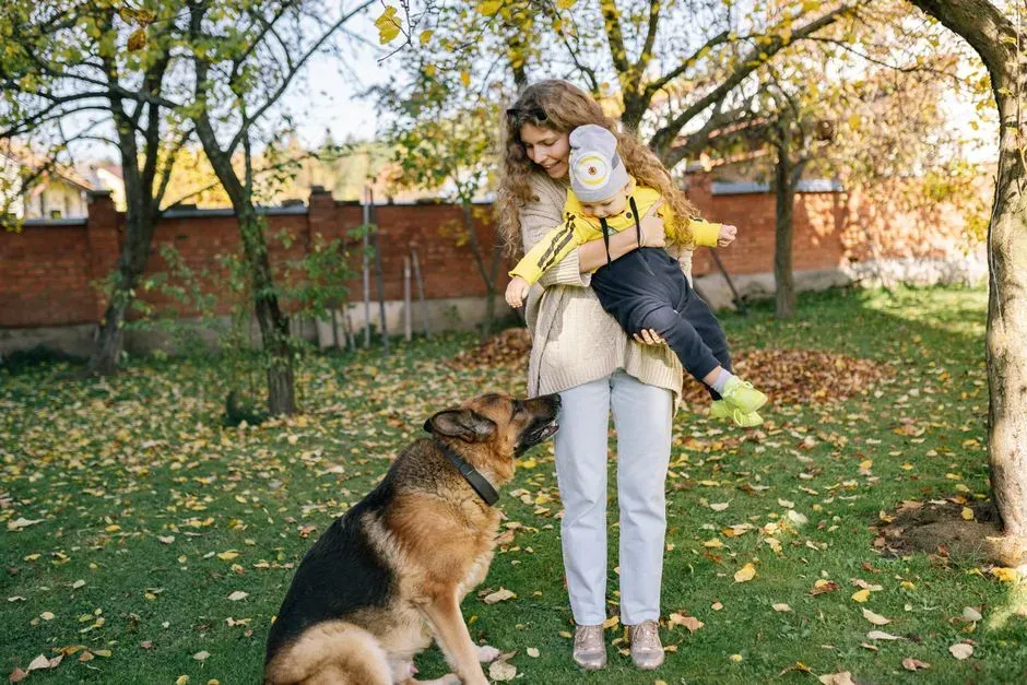 14. Haus: The German Shepherd Who Took Three Rattlesnake Bites So a Child Wouldn't Take One (Image Credits: Pexels)