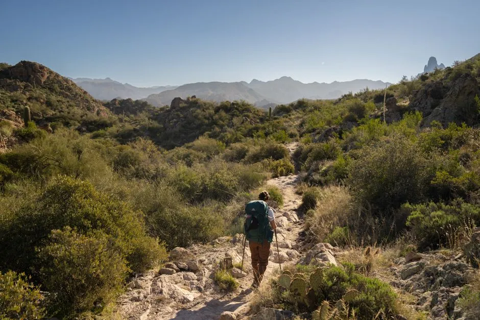 The Seventh Survivor: Mental Grit and Panic Control (Image Credits: Pexels)