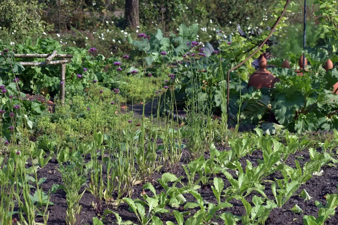 6. Rotate Your Crops Each Year (Image Credits: Unsplash)