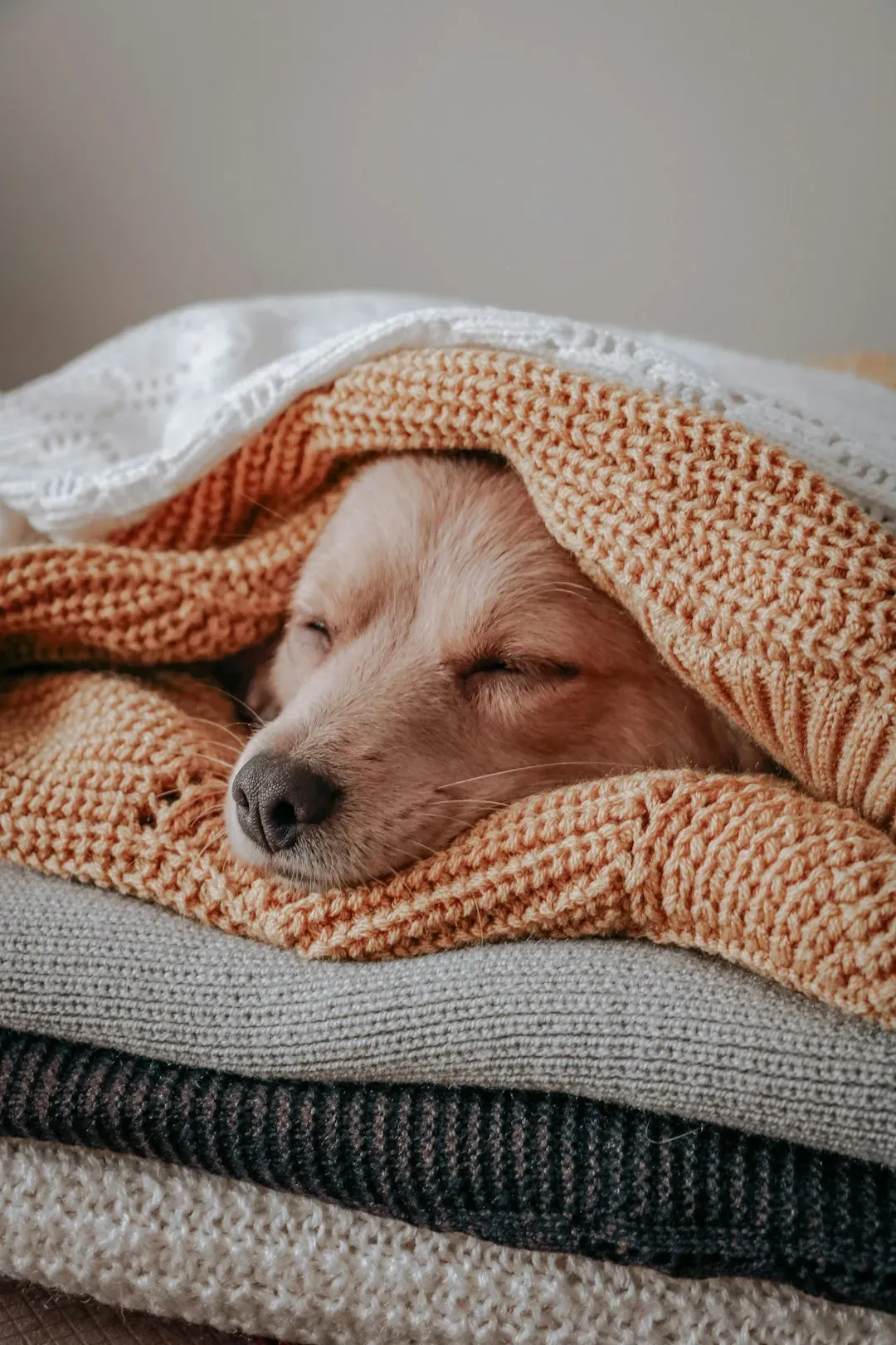 #1 – Sleeping Far More Than Before (Image Credits: Unsplash)