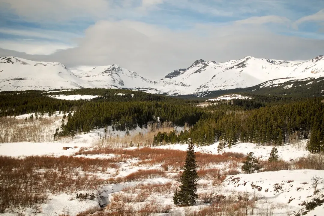Montana: Big Sky Country, Bigger Adventures (Image Credits: Unsplash)